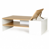 Table Basse ZOE avec Coffre