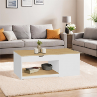 Table Basse ELINA Double Plateau Relevable et Coffre Latéral