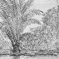 Paravent Impression CUBA