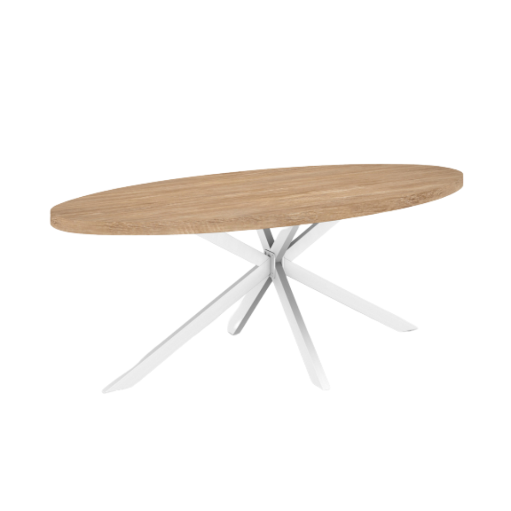 Table repas ovale pieds spider
