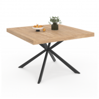Table repas carré pieds spider